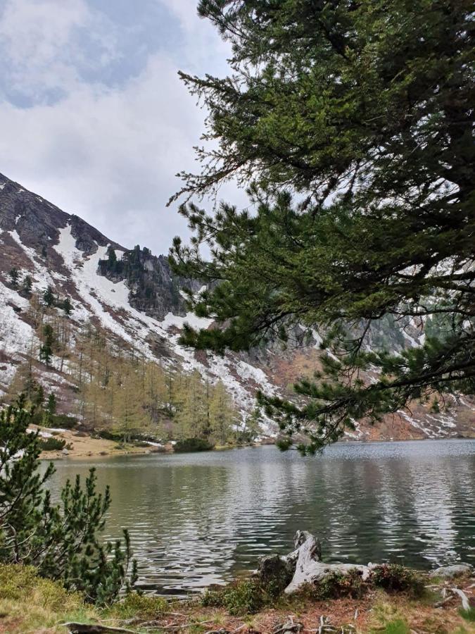 Grassegger Appartementhaus Sankt Johann am Tauern Bagian luar foto