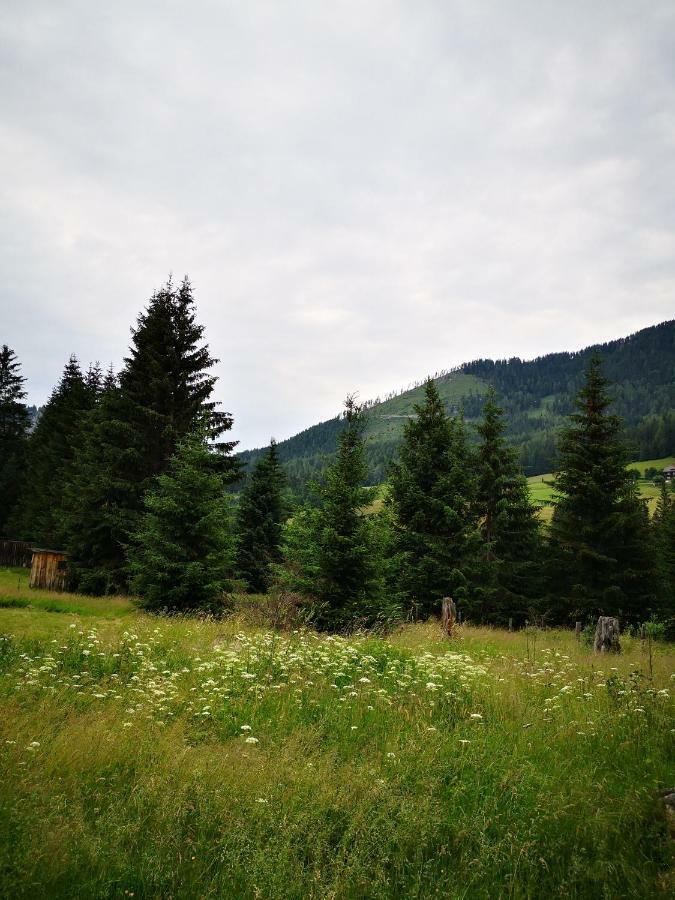 Grassegger Appartementhaus Sankt Johann am Tauern Bagian luar foto